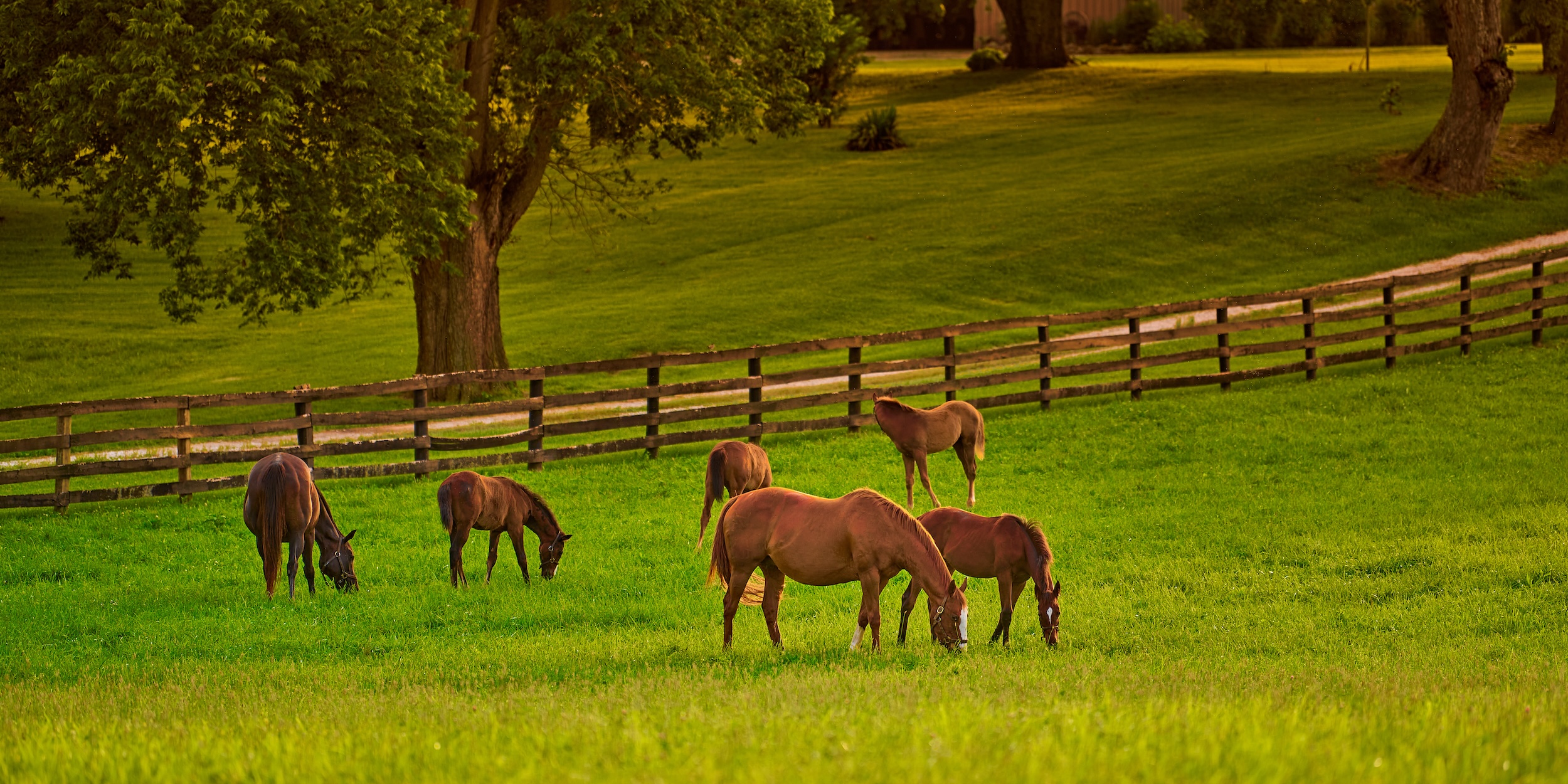 Agricultural Land Owners in Myrtle Beach