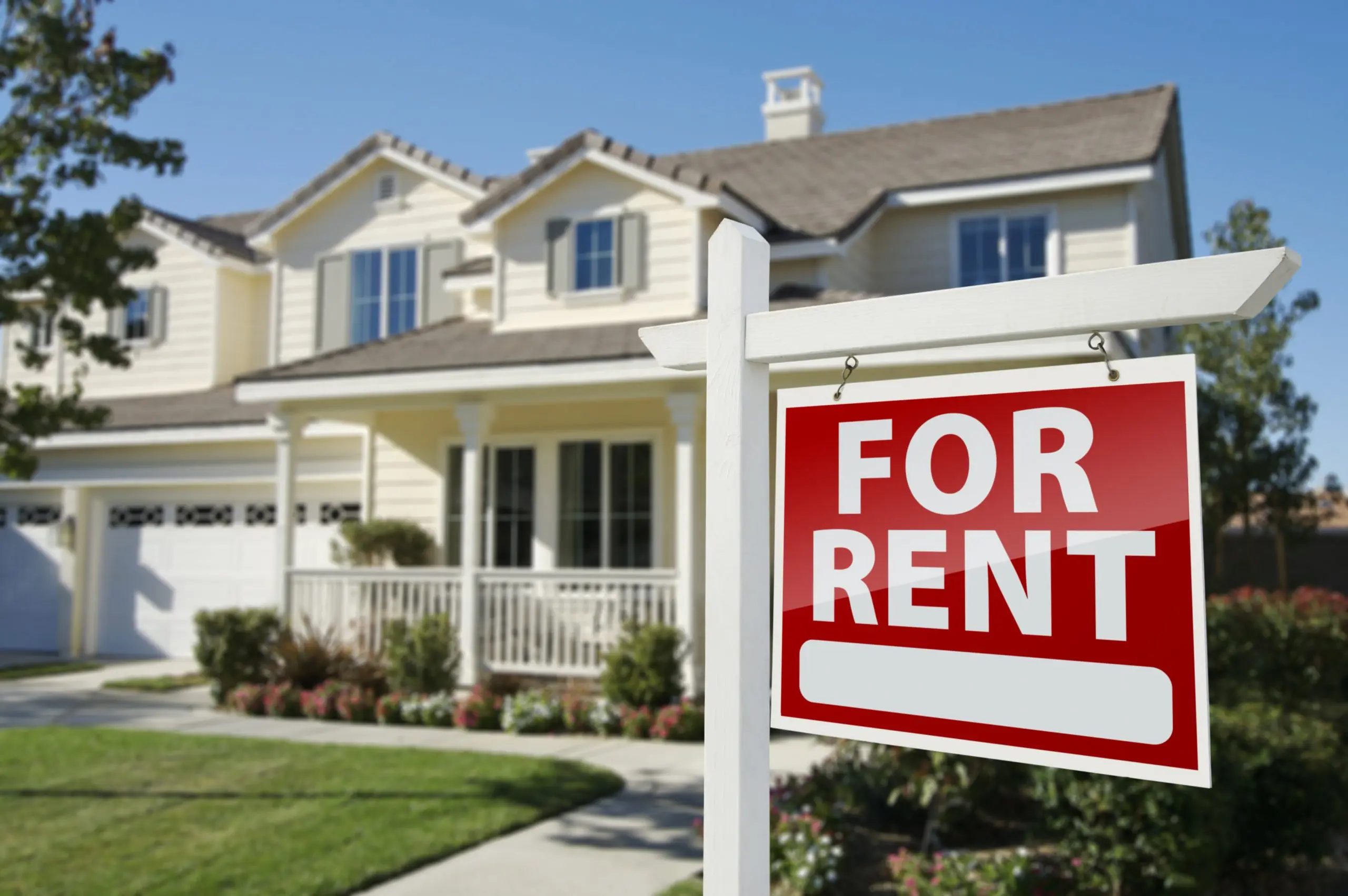 Owner-Occupied Loans